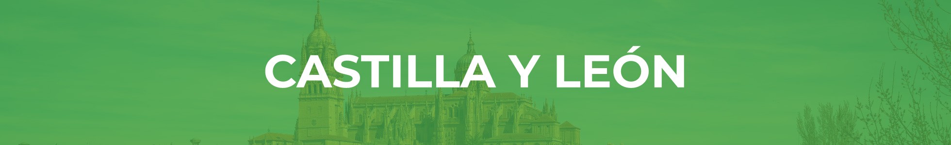 mejores ofertas castilla y leon