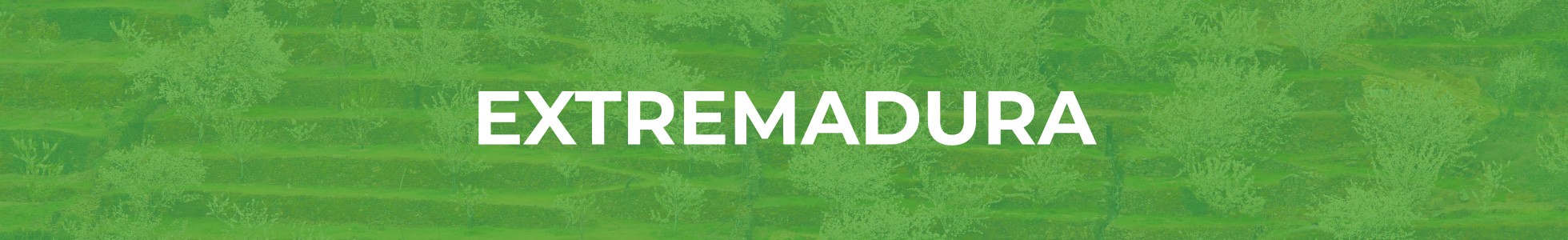 mejores ofertas extremadura